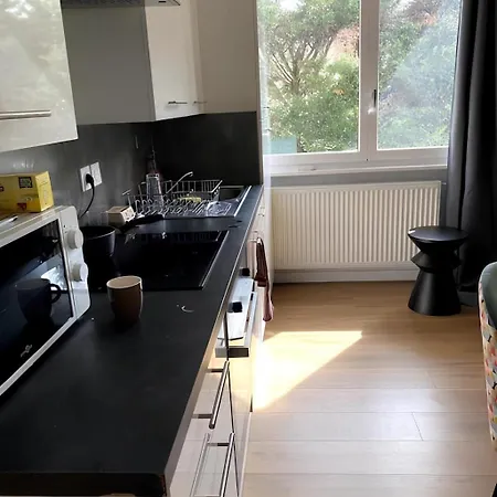 2br 2 Bathroom Geneva Tram 17 Ambilly