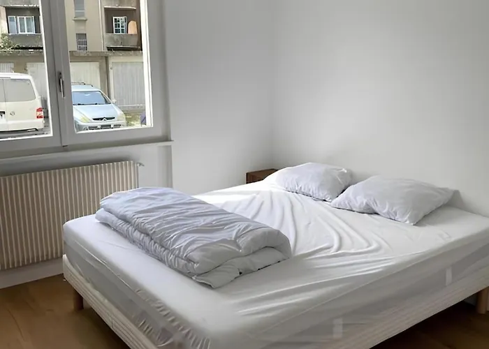 2br 2 Bathroom Geneva Tram 17 Daire Ambilly